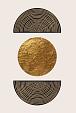 Gouden geometrische vormen #4