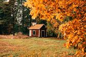 Huisje in bos met herfstachtige bomen