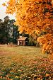 Huisje in bos met herfstachtige bomen