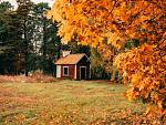 Huisje in bos met herfstachtige bomen