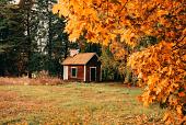 Huisje in bos met herfstachtige bomen
