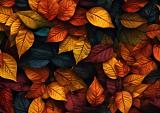 Achtergrond met herfstbladeren