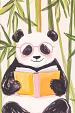 Lezende panda