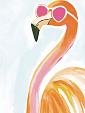 Flamingo met zonnebril