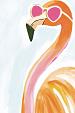 Flamingo met zonnebril