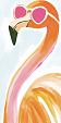 Flamingo met zonnebril