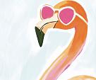 Flamingo met zonnebril
