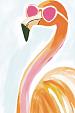 Flamingo met zonnebril