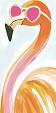 Flamingo met zonnebril