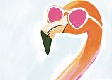 Flamingo met zonnebril