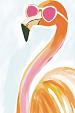 Flamingo met zonnebril