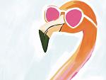 Flamingo met zonnebril