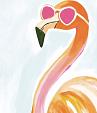 Flamingo met zonnebril