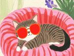 Relaxende kat met zonnebril