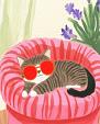 Relaxende kat met zonnebril