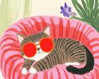 Relaxende kat met zonnebril