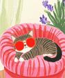 Relaxende kat met zonnebril