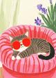 Relaxende kat met zonnebril