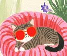 Relaxende kat met zonnebril