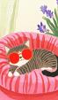 Relaxende kat met zonnebril