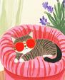 Relaxende kat met zonnebril