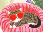Relaxende kat met zonnebril