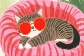 Relaxende kat met zonnebril
