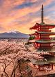 Berg Fuji en de Vredespagode, Japan