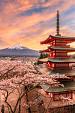 Berg Fuji en de Vredespagode, Japan