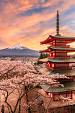 Berg Fuji en de Vredespagode, Japan