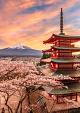 Berg Fuji en de Vredespagode, Japan