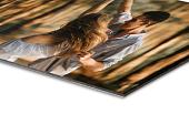 Foto op aluminium