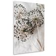 droge allium bloemen op beige stof mock up plexiglas staand