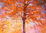 Herfstsymfonie in kleur