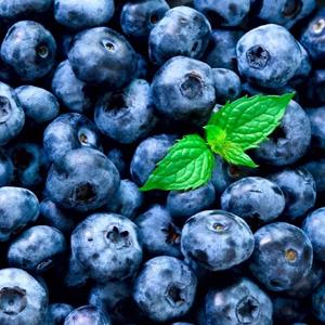 blauw 2 copy