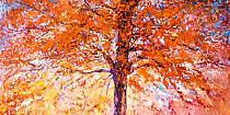 Herfstsymfonie in kleur