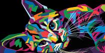 Grafisch getekende kat in Pop Art stijl
