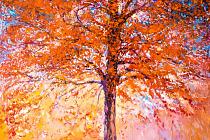 Herfstsymfonie in kleur