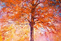 Herfstsymfonie in kleur