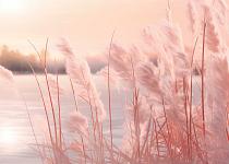 Winters landschap met roze gloed