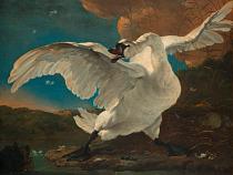 De Bedreigde zwaan, Jan Asselijn, ca. 1650
