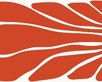 17238 ol abstracte bloemenposter  8 50x40