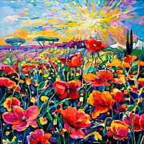 4109 ov bloemenveld rood verf