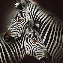Zebra's modern schilderij