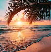 15742 ov ondergaande zon 15x15