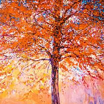 Herfstsymfonie in kleur
