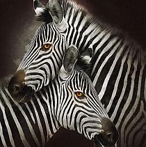 Zebra's modern schilderij