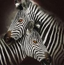 Zebra's modern schilderij