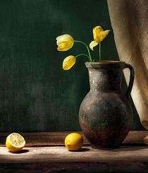 Stilleven citroen en tulp
