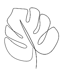 Lijntekening blad 